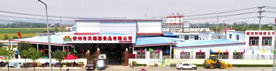 行業經驗
